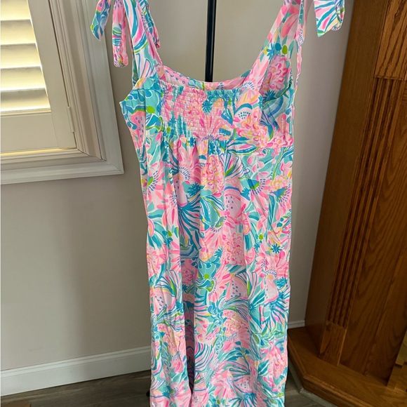 Lilly Pulitzer Maxi Dress - Picture 3 of 3